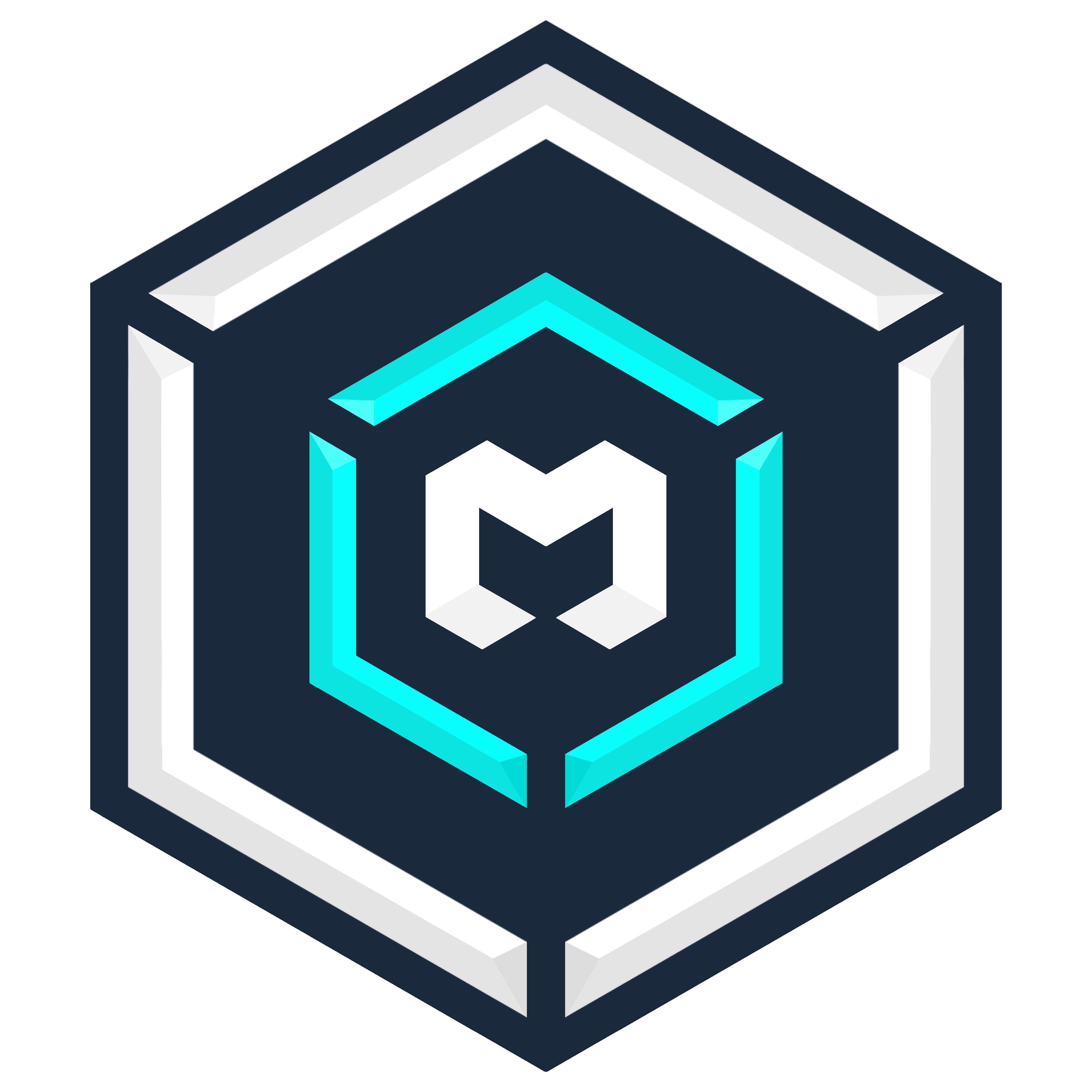 Metacore Soft Logo